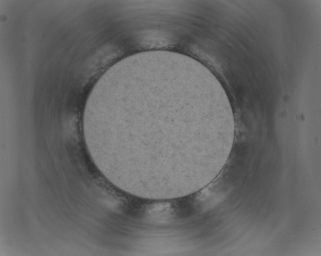 X0000077350162200611031830