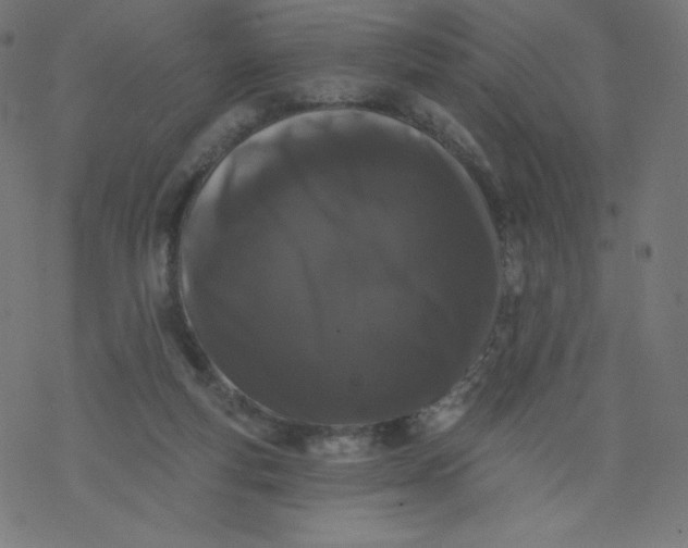 X0000077350163200611031830