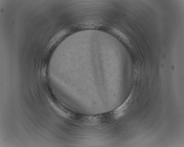 X0000077350166200611031830