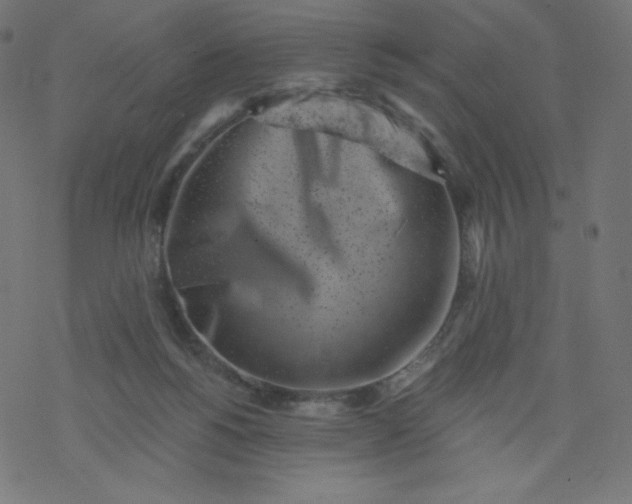 X0000077350168200611031830