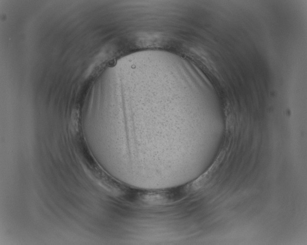 X0000077350171200611031830