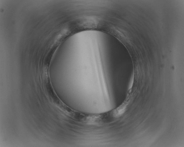 X0000077350172200611031830