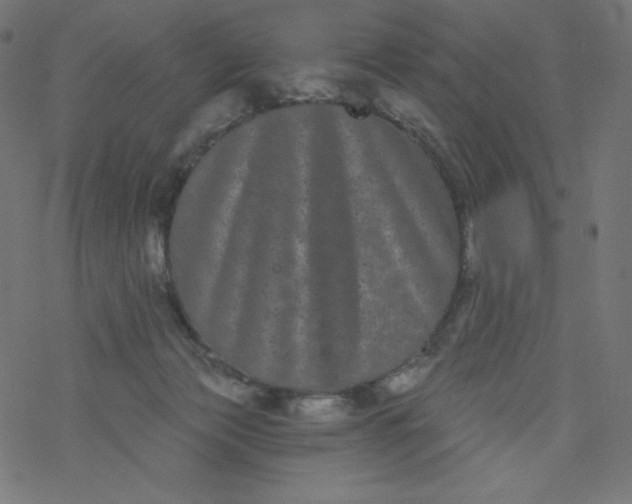 X0000077350173200611031830