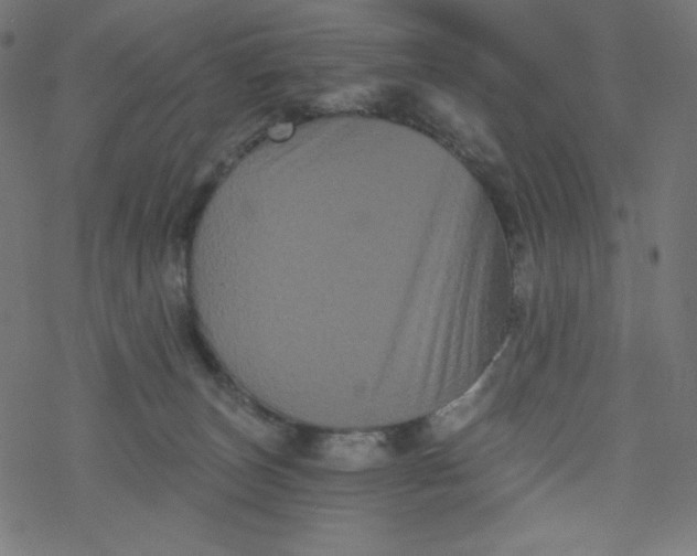 X0000077350179200611031830