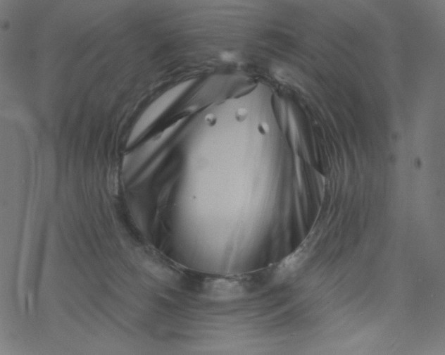 X0000077350180200611031830