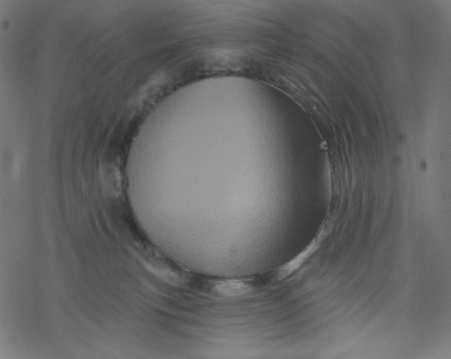 X0000077350183200611031830