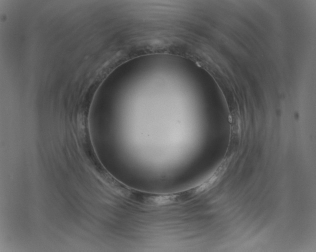 X0000077350184200611031830