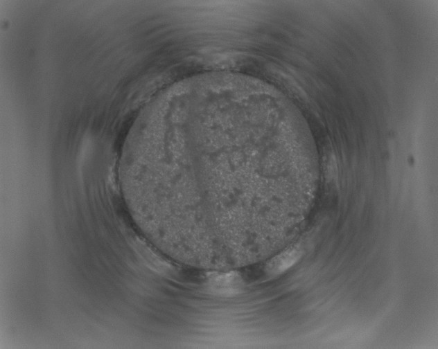 X0000077350185200611031830