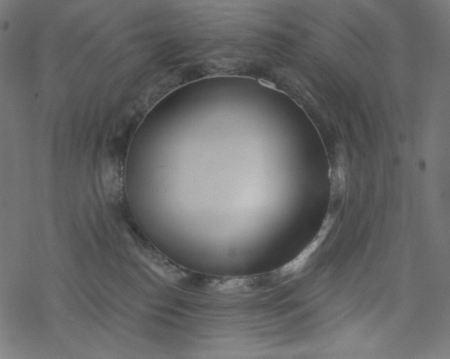 X0000077350186200611031830