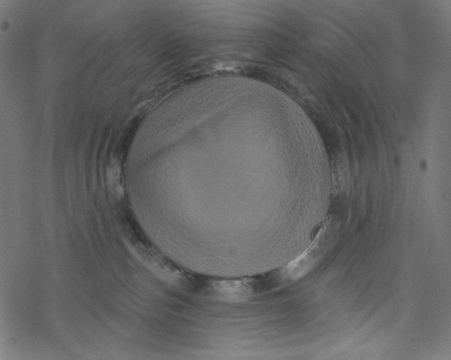 X0000077350187200611031830