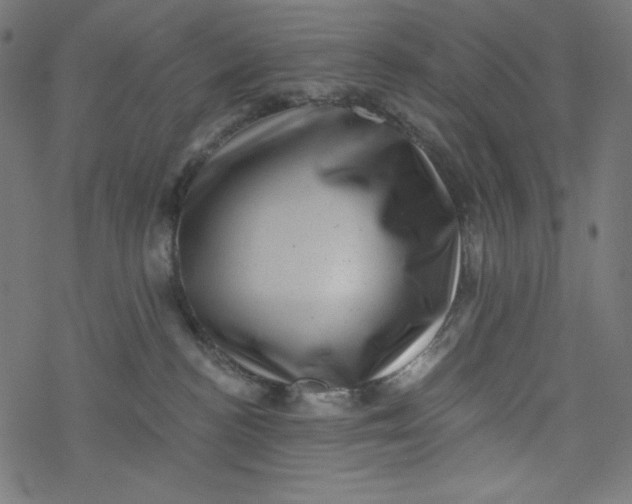 X0000077350188200611031830