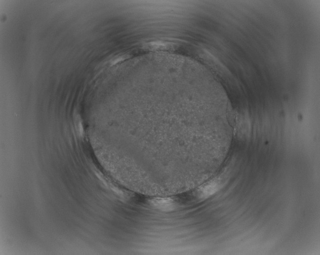 X0000077350189200611031830