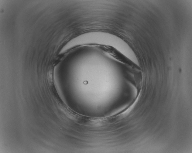 X0000077350190200611031830