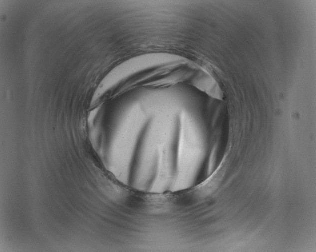 X0000077350192200611031830