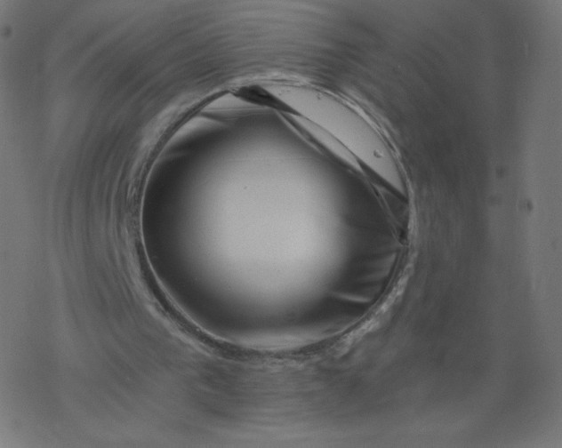 X0000077350193200611031830