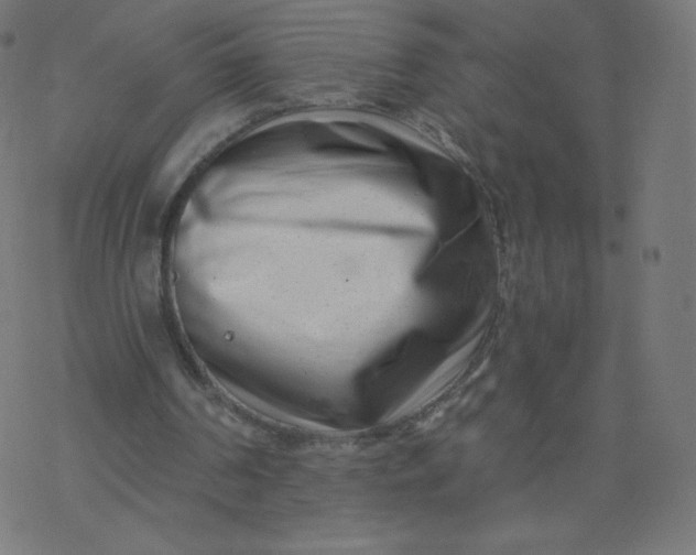 X0000077350194200611031830