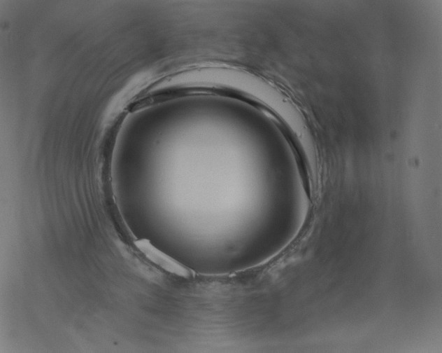 X0000077350197200611031829