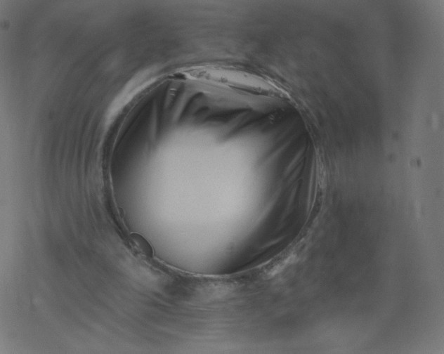 X0000077350198200611031829