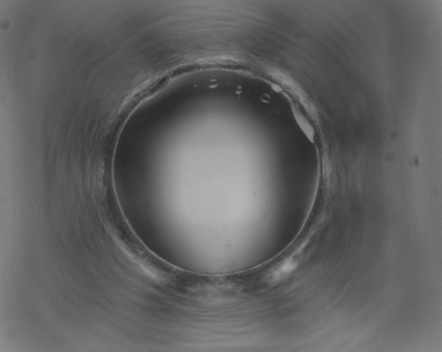 X0000077350201200611031829