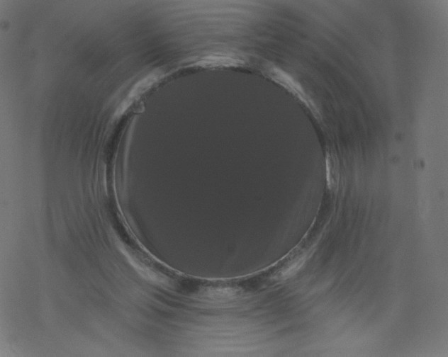 X0000077350205200611031829