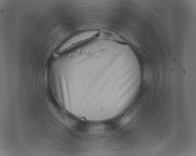 X0000077350206200611031829