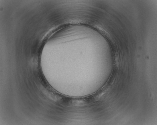 X0000077350208200611031829