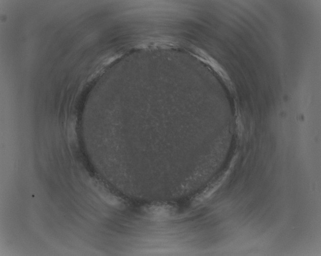 X0000077350209200611031829