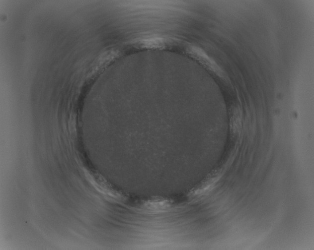 X0000077350213200611031829