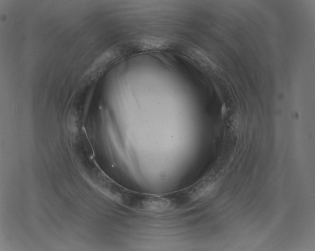 X0000077350215200611031829