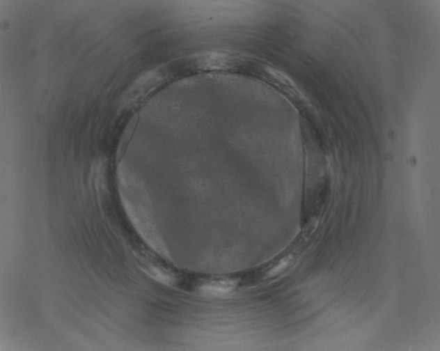 X0000077350217200611031829