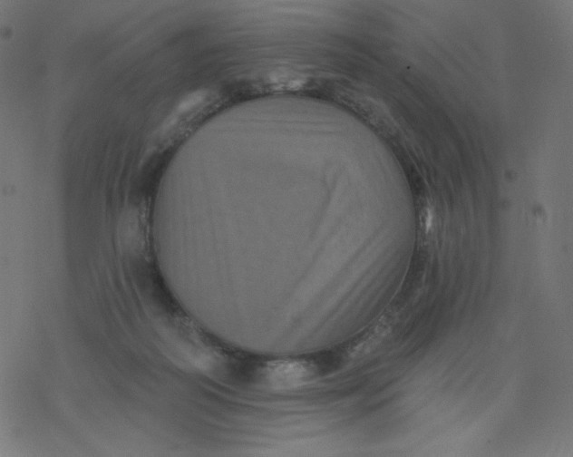 X0000077350218200611031829