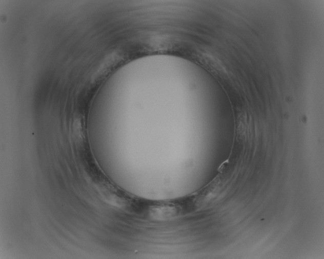 X0000077350220200611031829