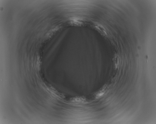 X0000077350223200611031829