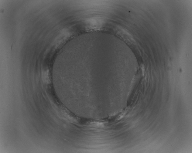 X0000077350224200611031829