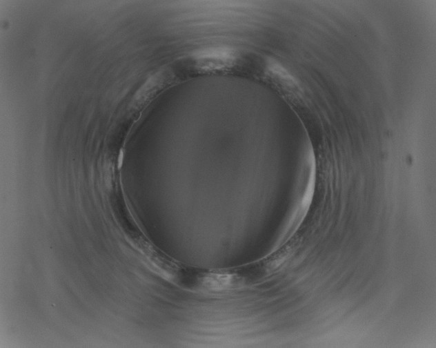 X0000077350227200611031829