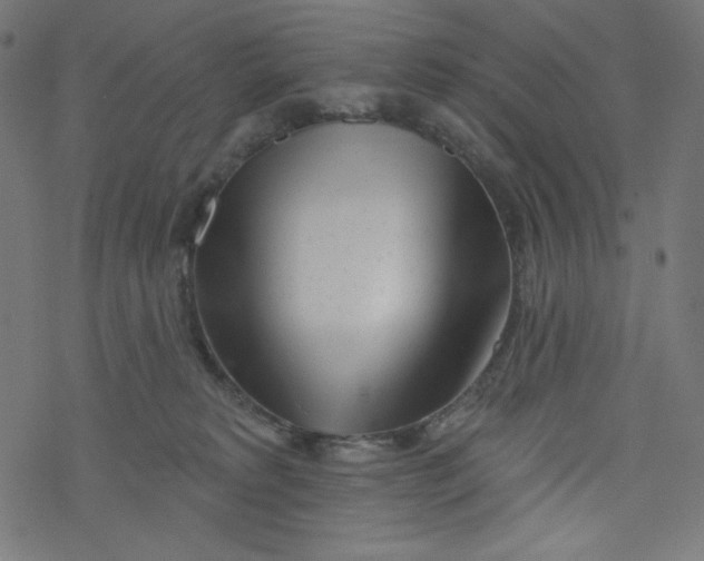 X0000077350229200611031829