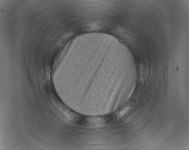 X0000077350230200611031829