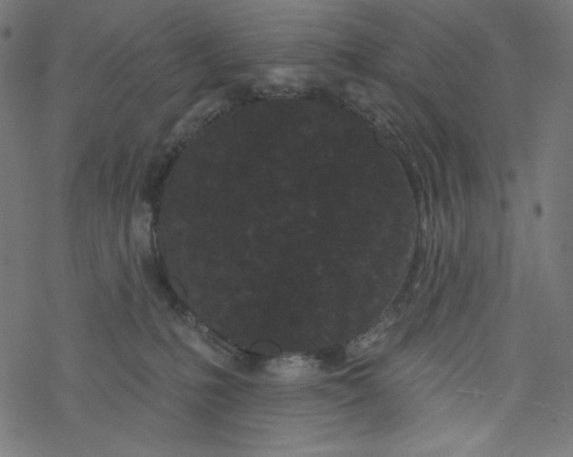 X0000077350231200611031829