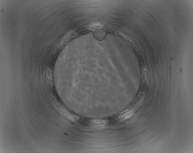 X0000077350234200611031829