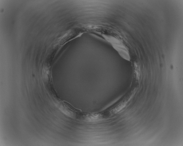 X0000077350235200611031829