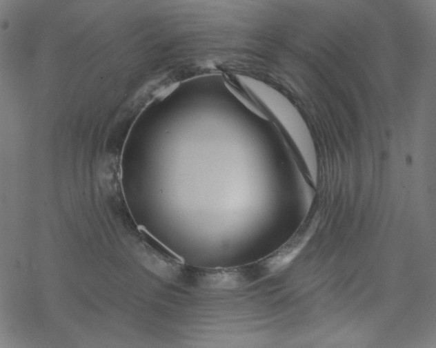 X0000077350237200611031829