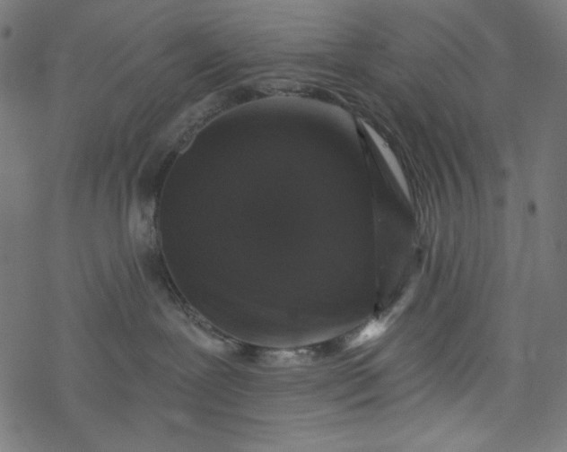 X0000077350239200611031829