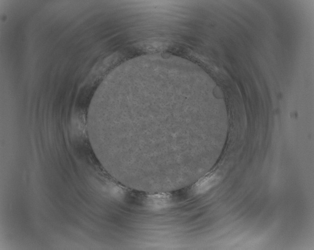 X0000077350240200611031829