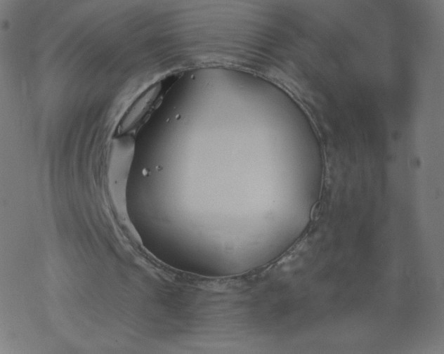 X0000077350241200611031828