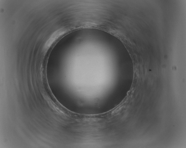 X0000077350242200611031828