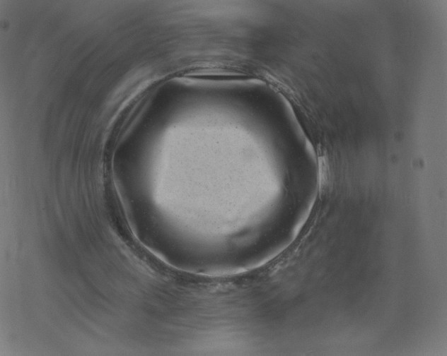 X0000077350243200611031828