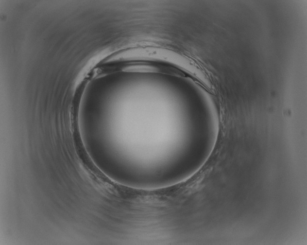 X0000077350244200611031828