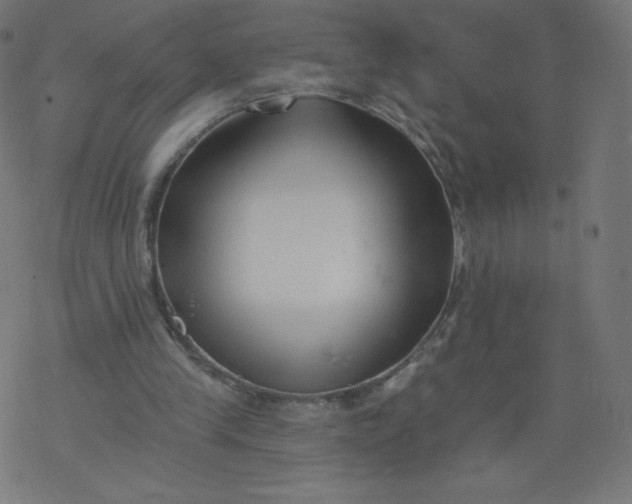 X0000077350245200611031828