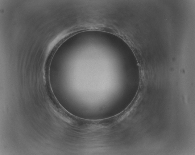 X0000077350246200611031828