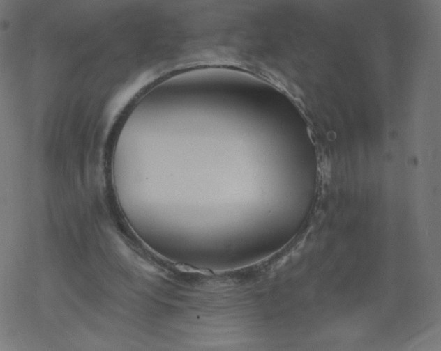 X0000077350248200611031828